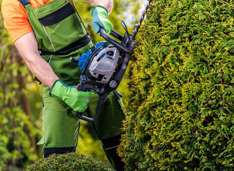 gardener-topiary-job.jpg gardener-topiary-job.jpg